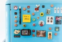 audience magnet traffic engine