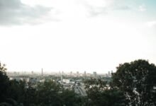 digital innovation and strategy