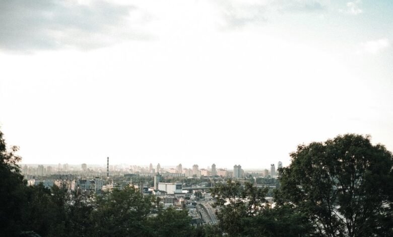 digital innovation and strategy