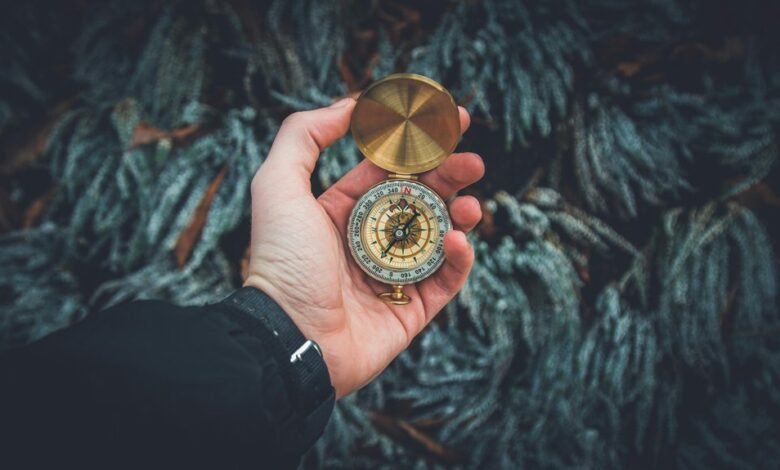 marketing growth compass instrument