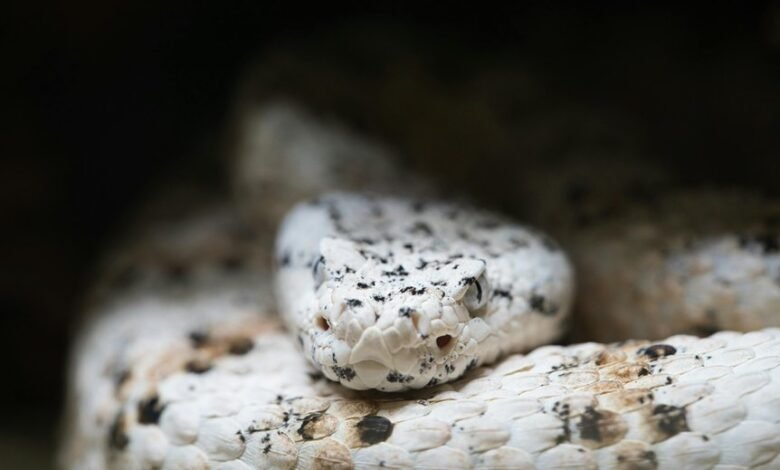 strategic industry growth guide