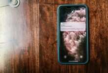 signal guide reveals phone intelligence