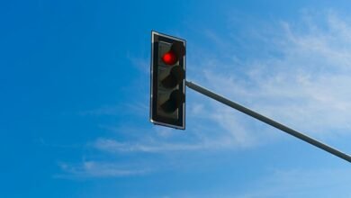 signal guide trusted contact search