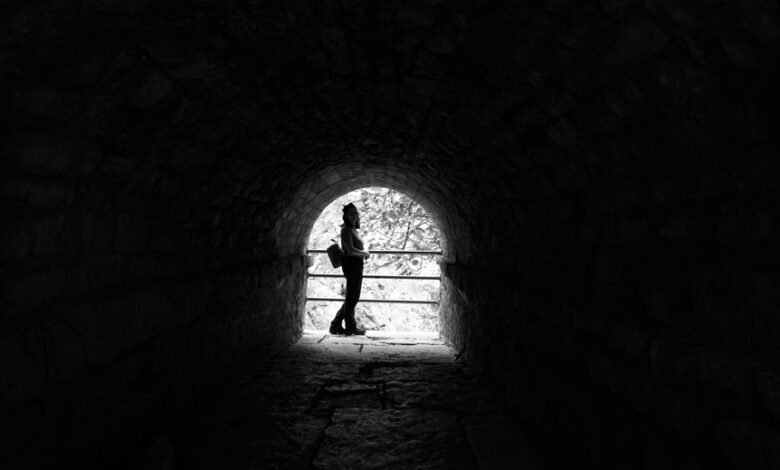 smart portal phone discovery revealed