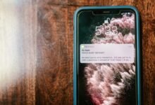 text alert about message meaning explored