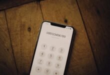 phone numbers for web domain analysis