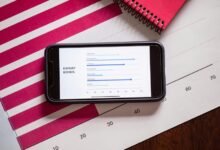phone numbers list for verification