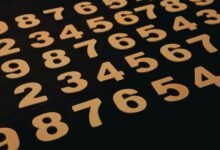 system numbers and mixed text identifiers
