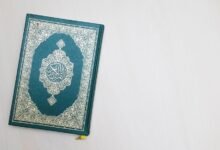 arabic login guide format specifics