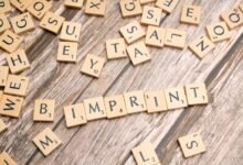 explained ip typo fix