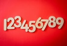 list of phone numbers for verification