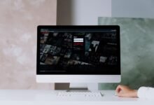 login guide and ip details four words