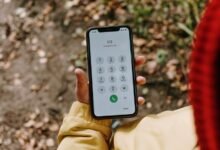 phone numbers for ownership lookup