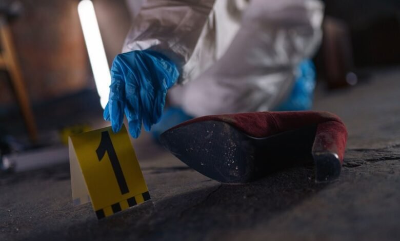 registry numbers evidence browsed